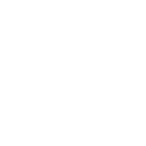 Night Raider