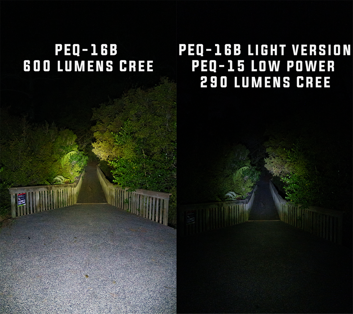 SomoGear PEQ-16B Aiming Laser Flashlight + VSCEL Illuminator