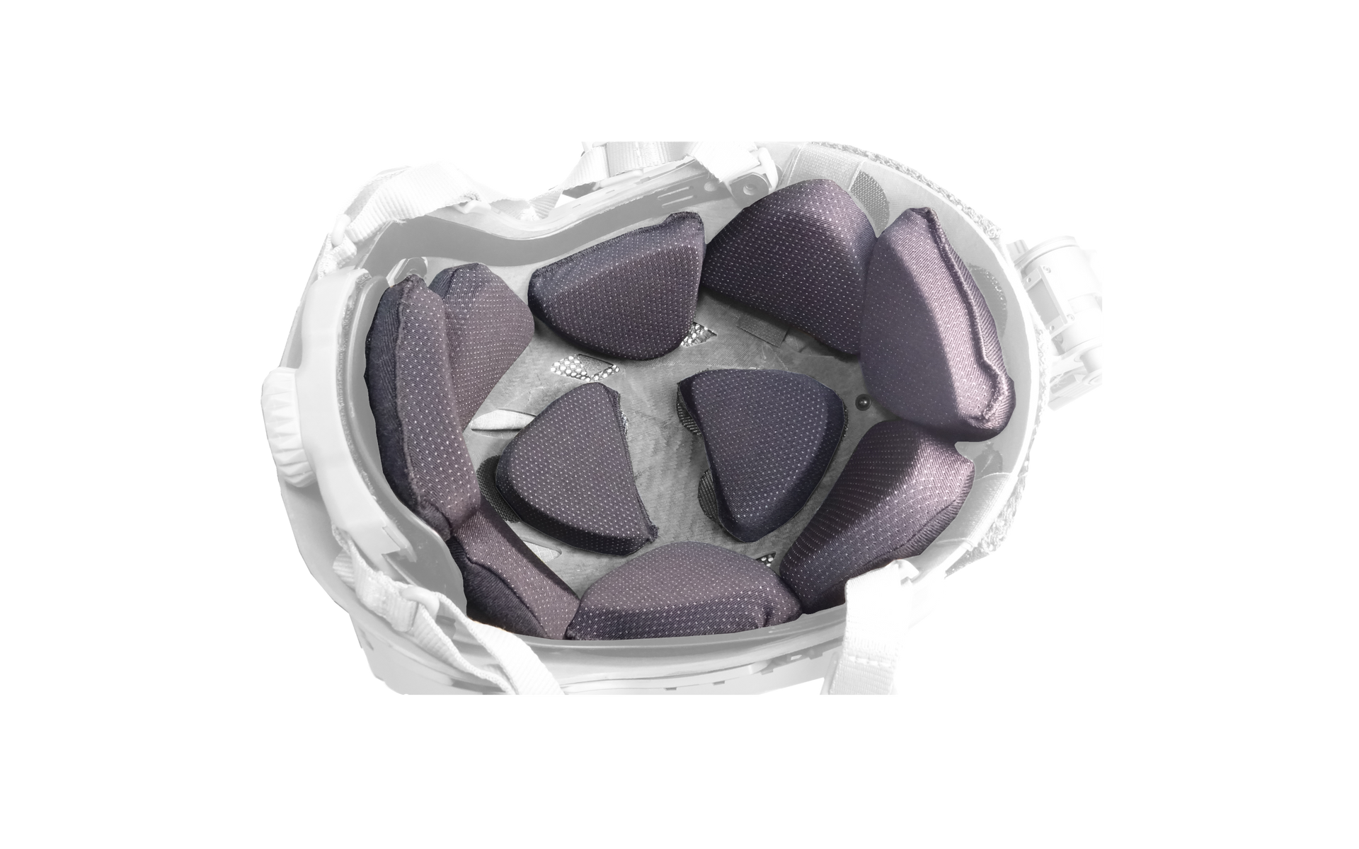 hive4.png?v=1707596856&width=1920