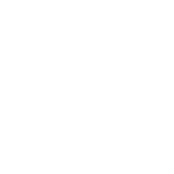 Night Raider 